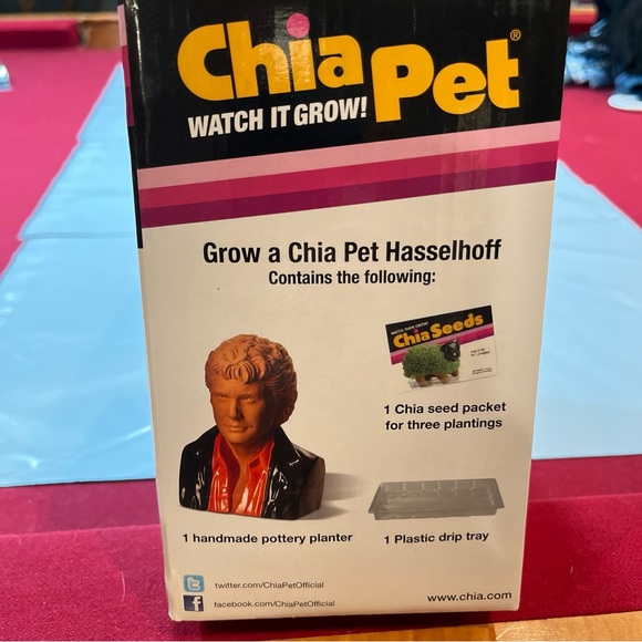 CHIA PET David Hasselhoff “The Hoff” Pottery Planter - Knight Rider New In Box!! - Picture 4 of 10